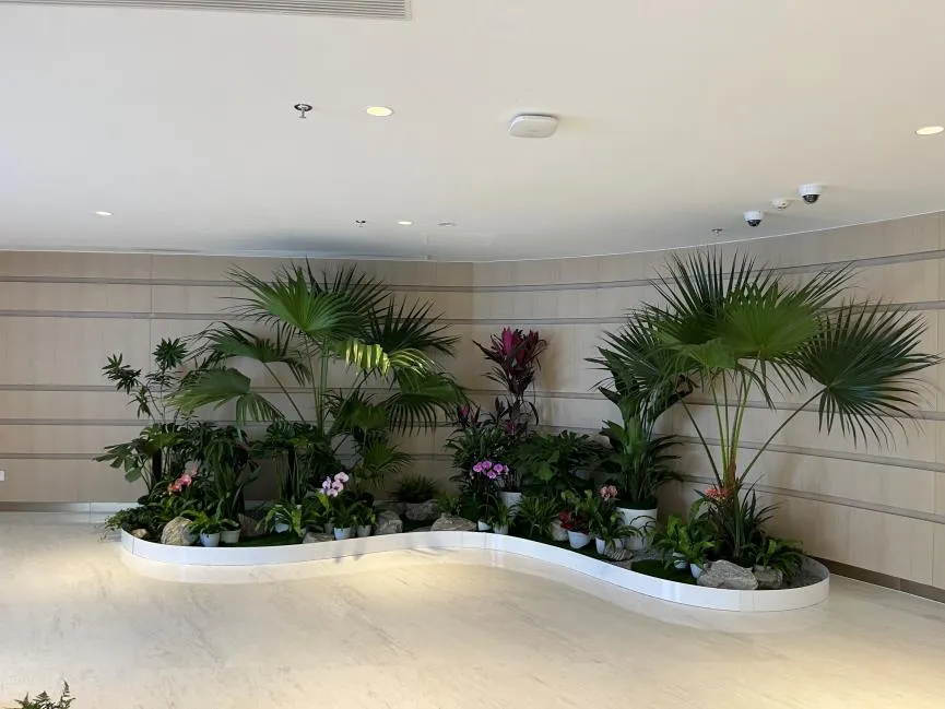 江北盆景租赁公司，打造独特绿植景观超厉害！